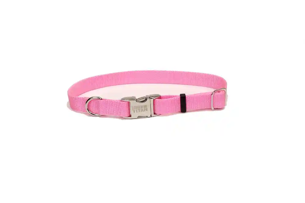 Adjustable Dog Collar With Metal Buckle, Pink Bright, 3/4" X 14" - 20"