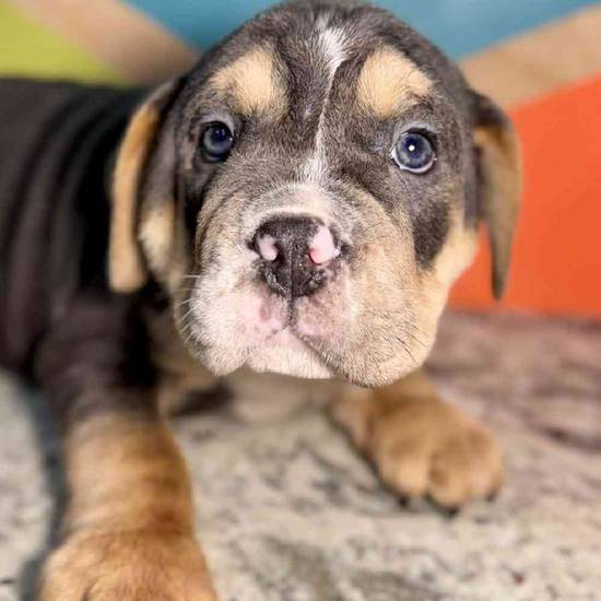 Tiny