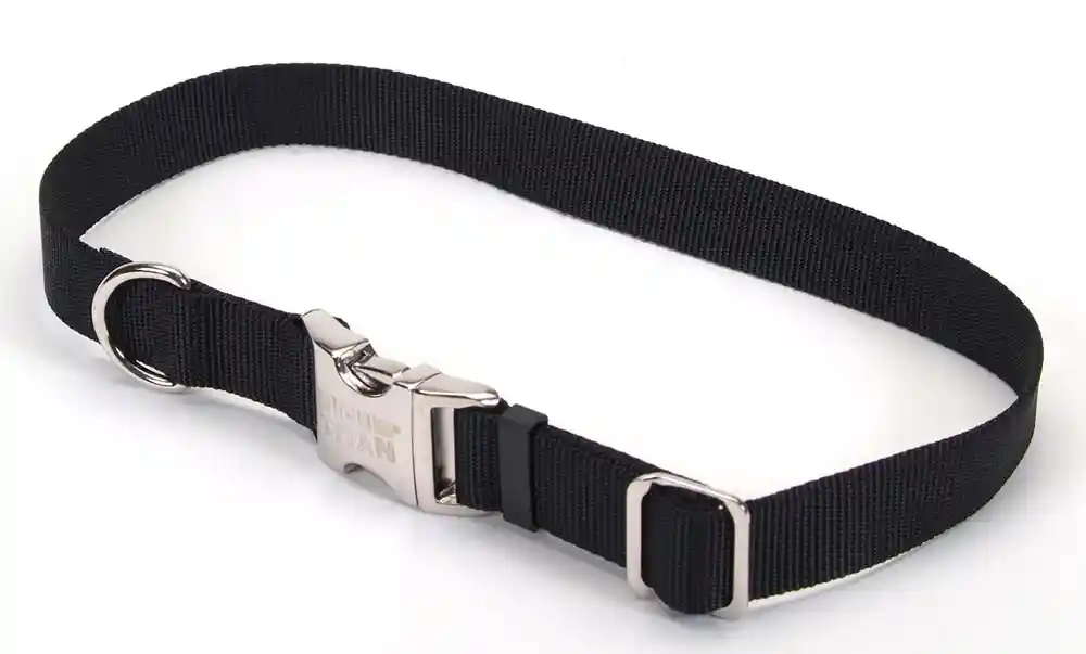 Adjustable Dog Collar With Metal Buckle, Black, 3/4" X 14" - 20"