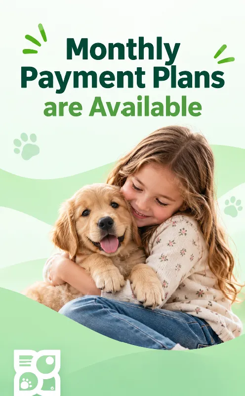 Monthly Payment Plans are Available!