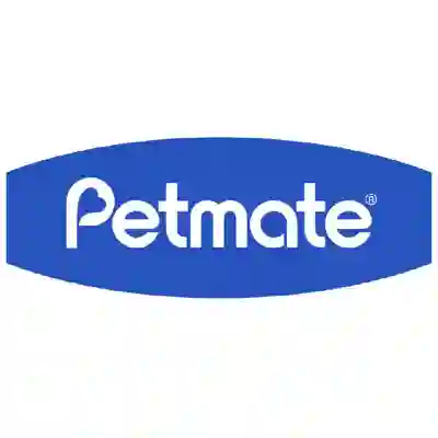 Image Alternative Text
